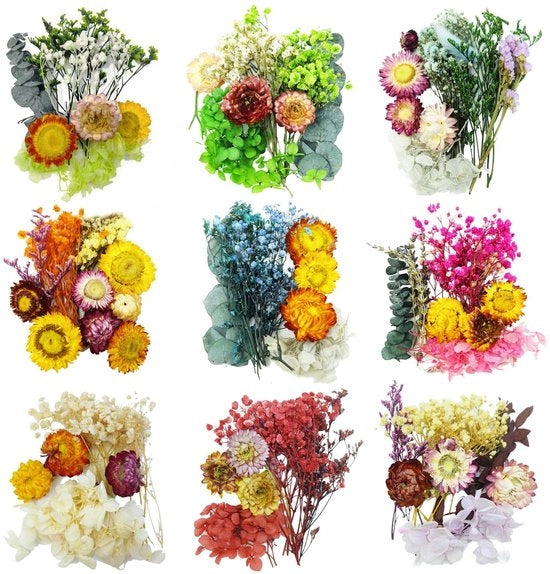 Mini Fusti di Fiori Secchi 9 Borse Fiori Secchi Naturali Piccoli per Attività di Riciclo, Fiori Secchi Colorati Misti per Artigianato, Decorazioni, Ornamenti, Gioielleria