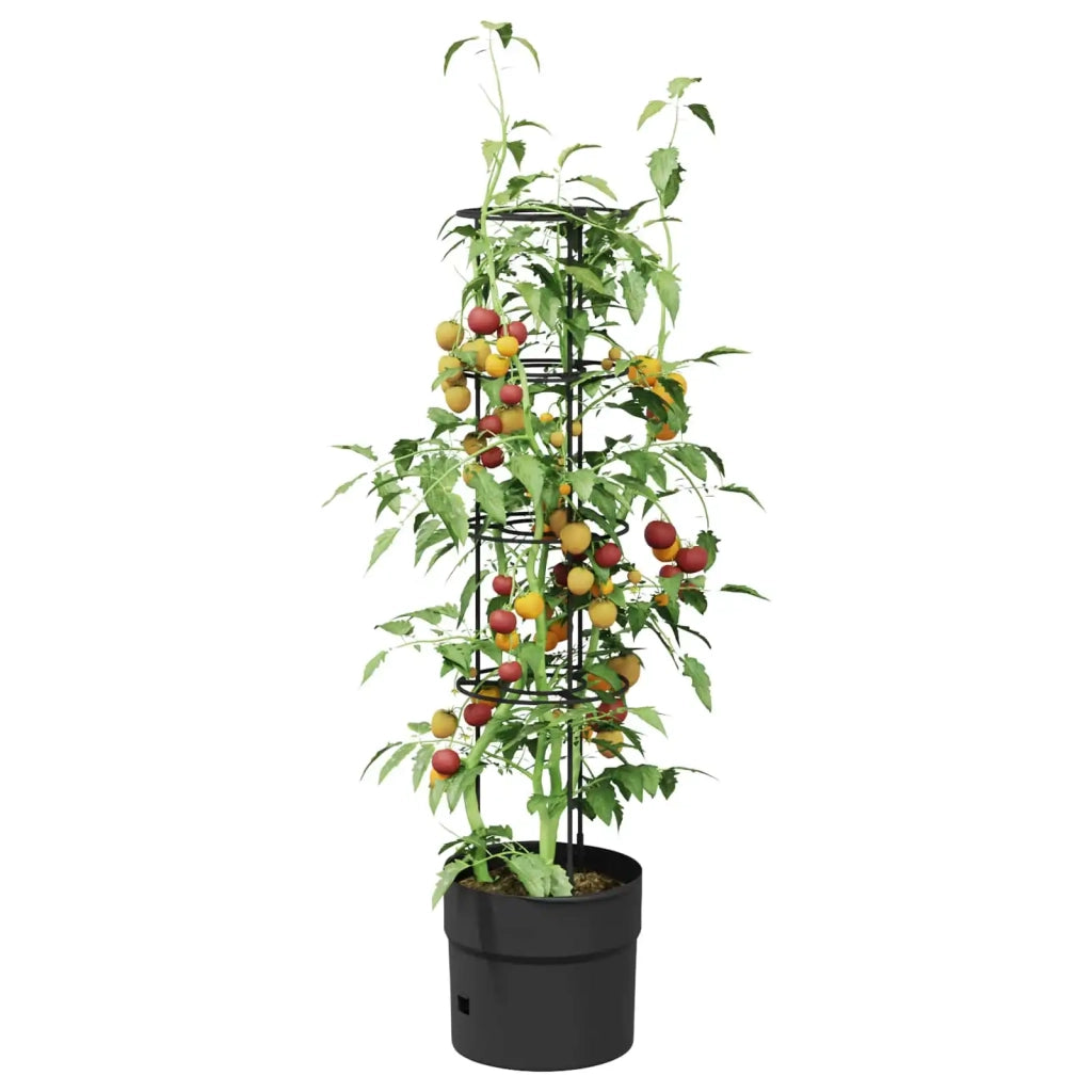 Coltivatore di pomodori Nero Ø 32 x 127 cm PP 42033416
