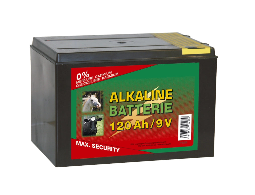 BATTERIA A SECCO ALCALINA 9V  170 Ah