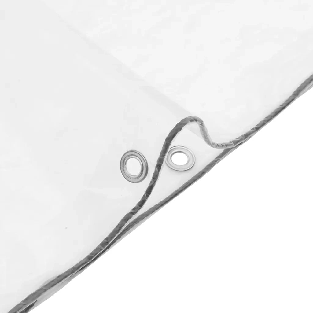 Telone Trasparente con Occhielli 6x10 m in Polietilene 4018531