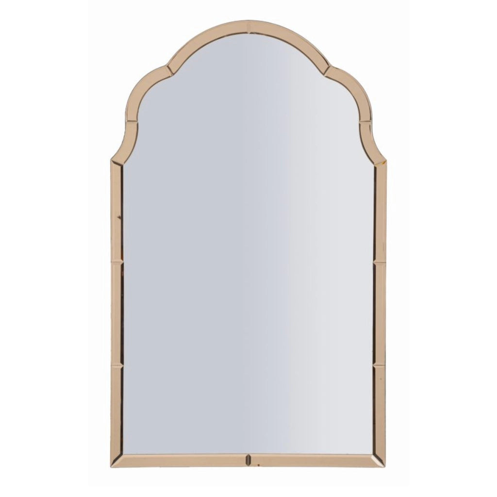 Specchio con Cornice Classico 6, Rosa, MDF, 100x62x1 cm
