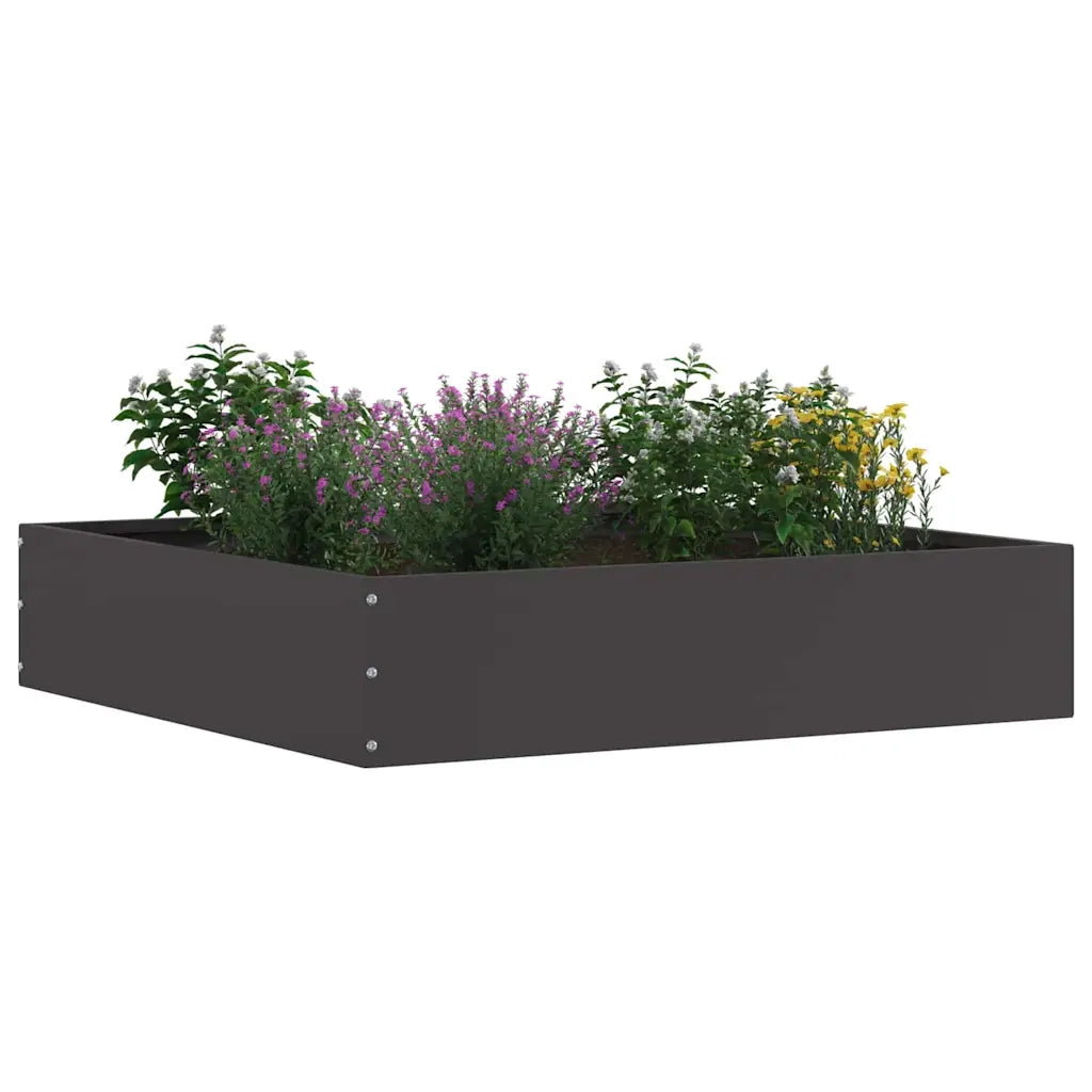 Bordura per Prato Nero 60 x 60 x 13 cm Acciaio 874730