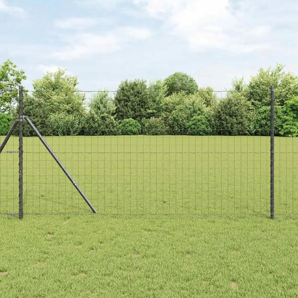 Recinzione Euro Grigio 1,4 x 10 m Ferro rivestito in PVC 42004599