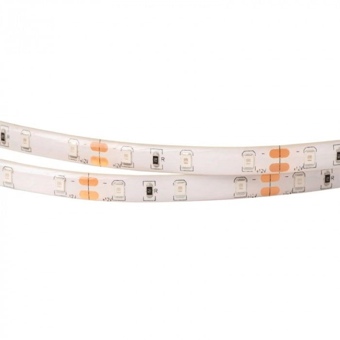 Striscia LED 5m 4,8W/m 12V gialla IP63 dimmerabile Ecolight