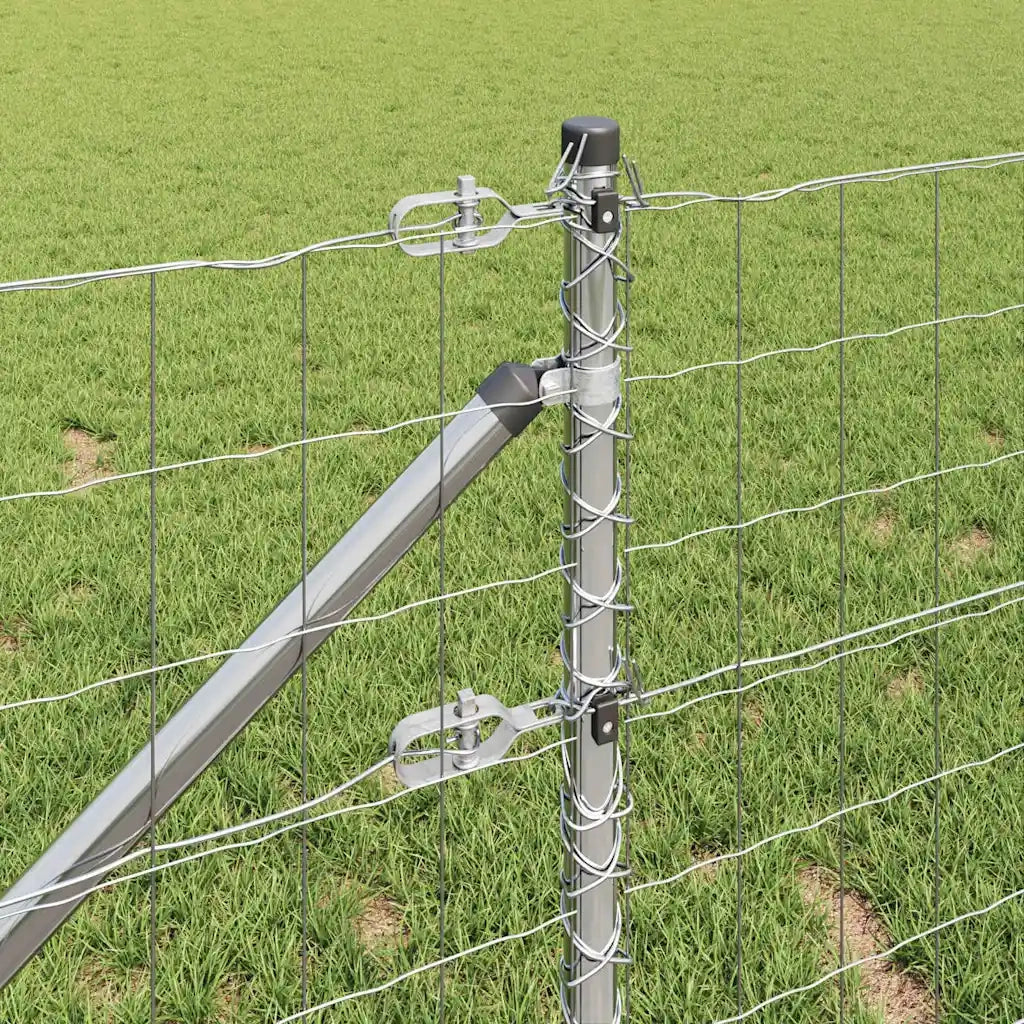 Recinzione con Posto Argento 0,6 x 25 m Acciaio