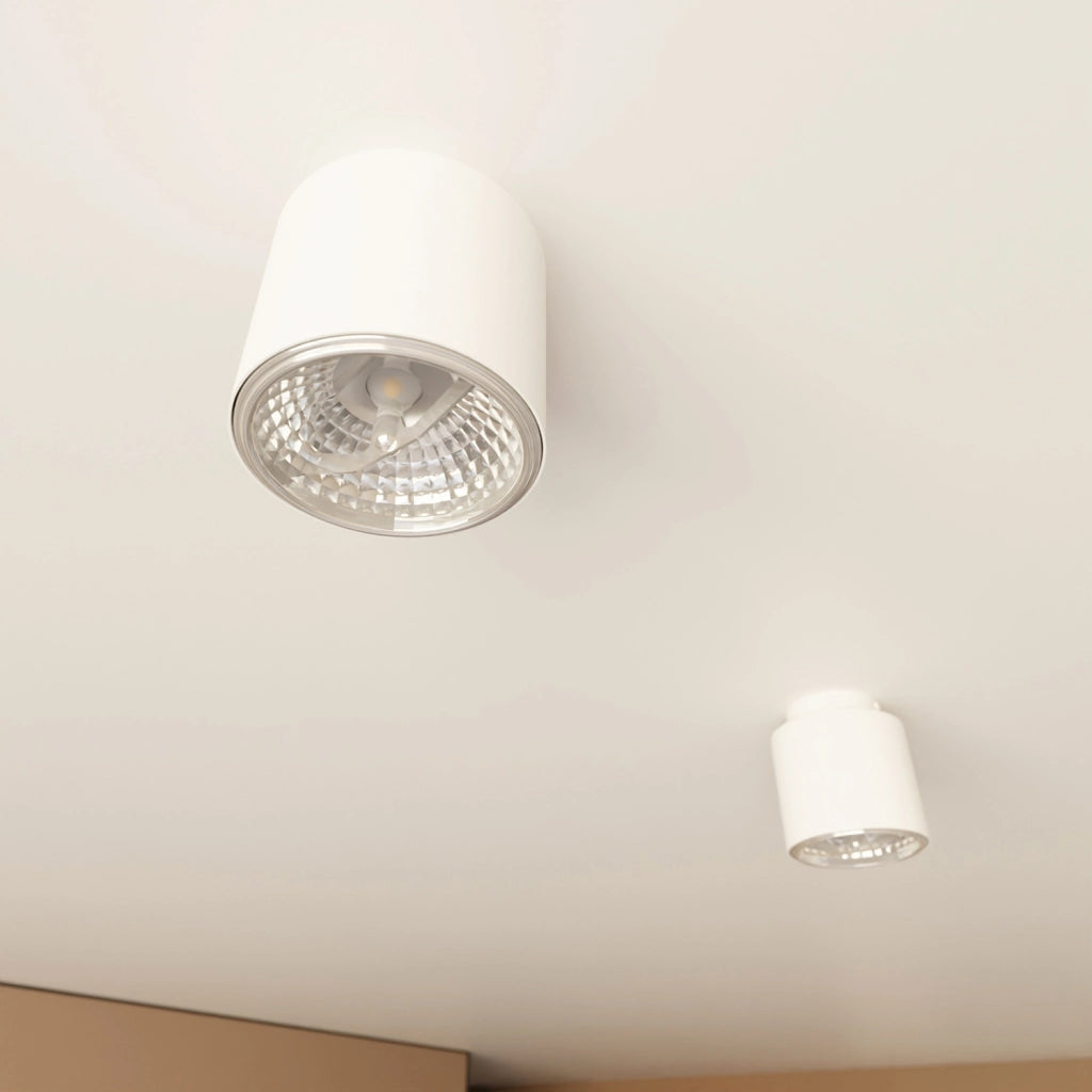 Plafoniera Moderna 1 Luce Faretto Ptah In Acciaio Bianco