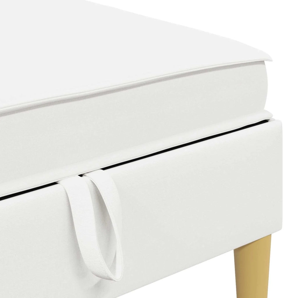 Pouf contenitore 42027131