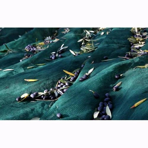 Telo Antispina Rete per raccolta Olive 10x10 mt - 90 gr/mq con Apertura Centrale Colore Verde con Angoli Rinforzati