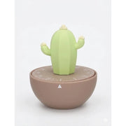 TIMER CACTUS COLORE marrone