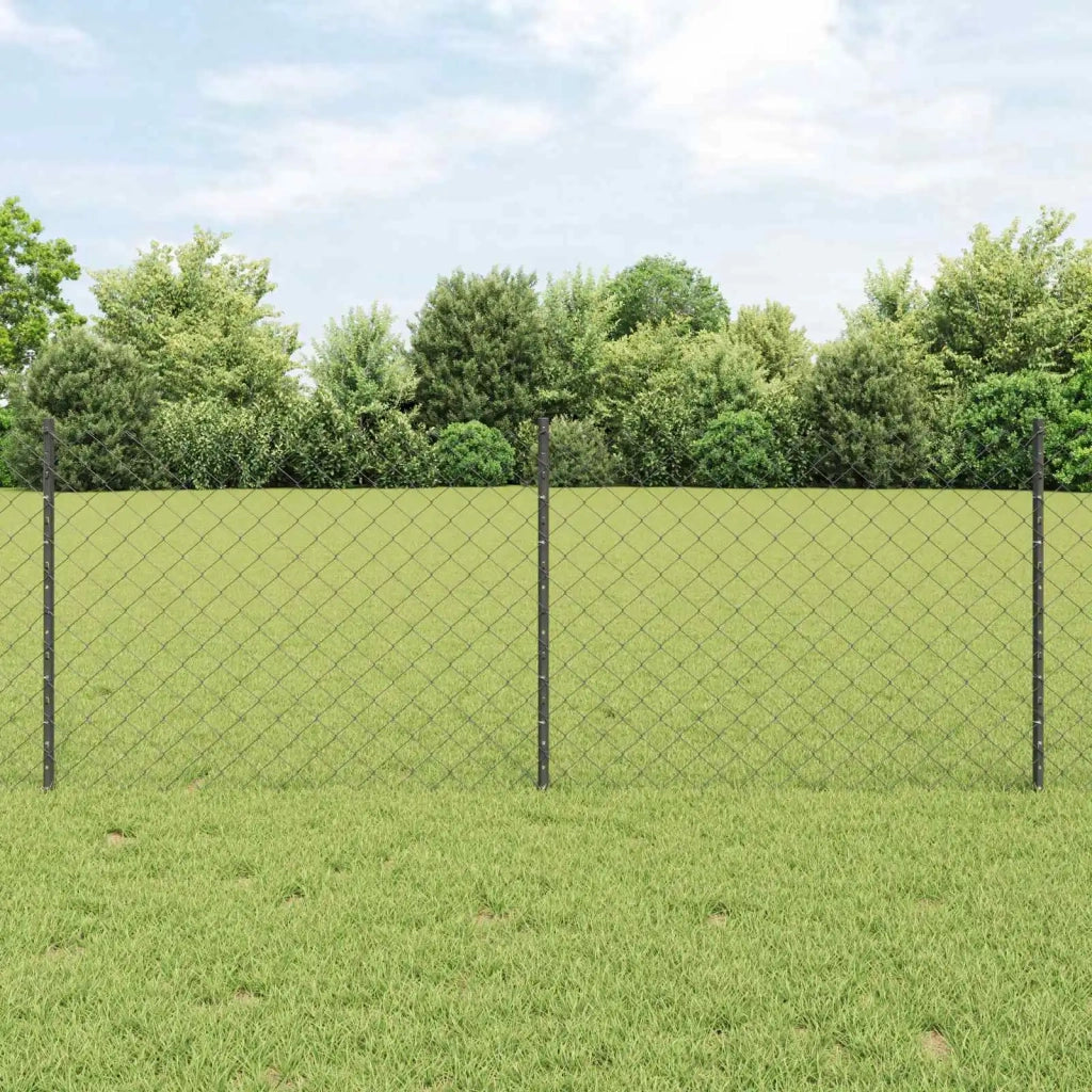 Recinzione a maglie con palo 25 x 0,8 m Acciaio zincato Grigio 3336279