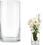 Vaso di vetro trasparente 20cm alto Ø 10 cm vaso cilindrico decorativo vaso di candela di vetro vaso rondo moderno grande vaso cilindrico di vetro per uso domestico ufficio matrimonio decorazione da tavola (10X20CM)