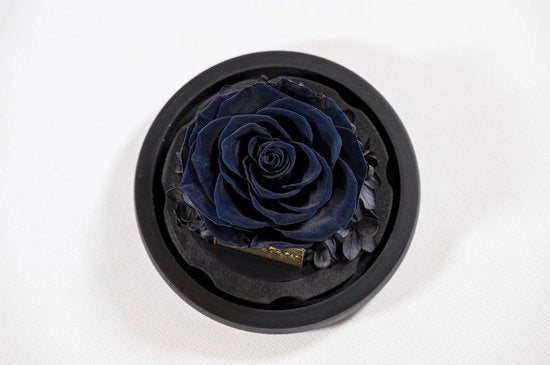 Fiori seccati con scatola di regalo - Fiori seccati Infinity - Stile decorativo per occasioni speciali - Lunga durata - Decorazione con materiali di alta qualità - Fiori seccati con lunga conservazione