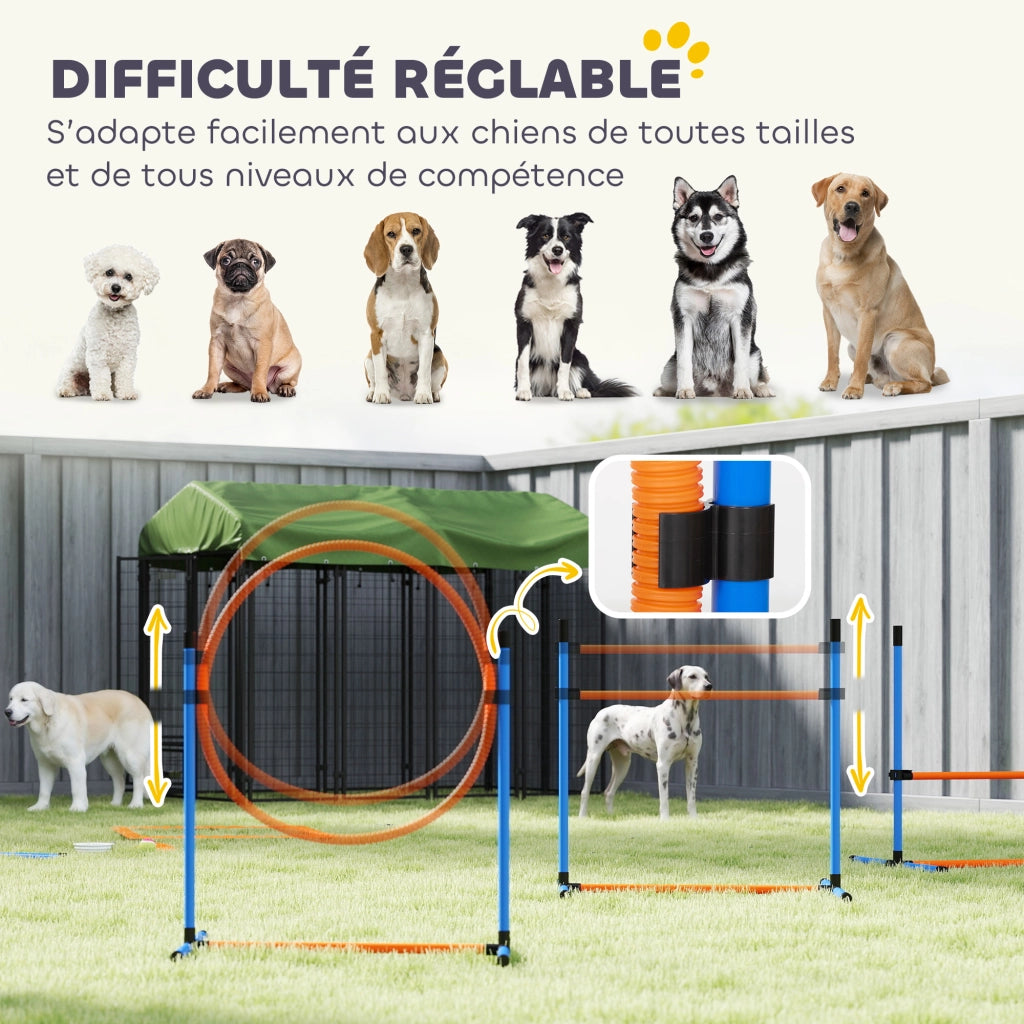 Set Agility per Cani 11 Pezzi ¨C Xylo ¨C con 2 Tunnel, Ostacoli Regolabili, Arancione e Blu