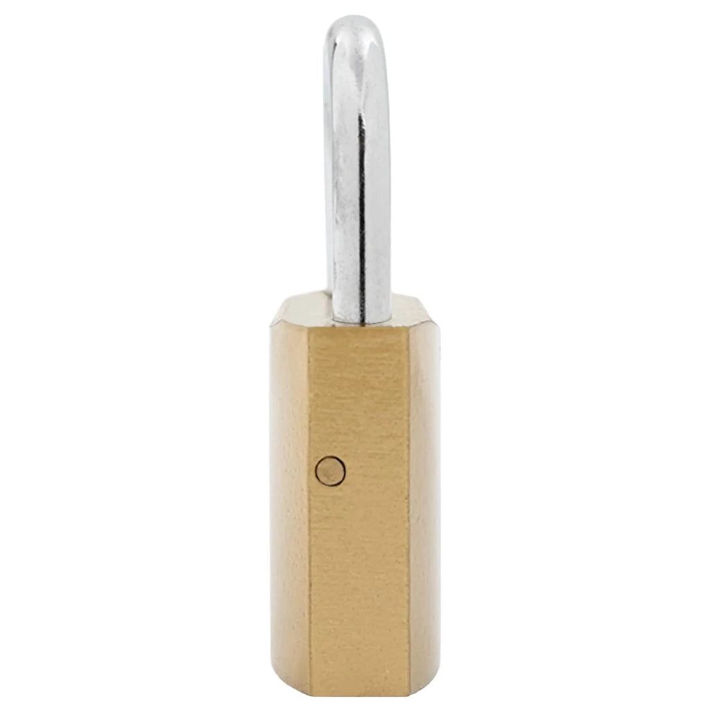 U Lock con Chiavi 100 pcs Ottone Ferro 42021901