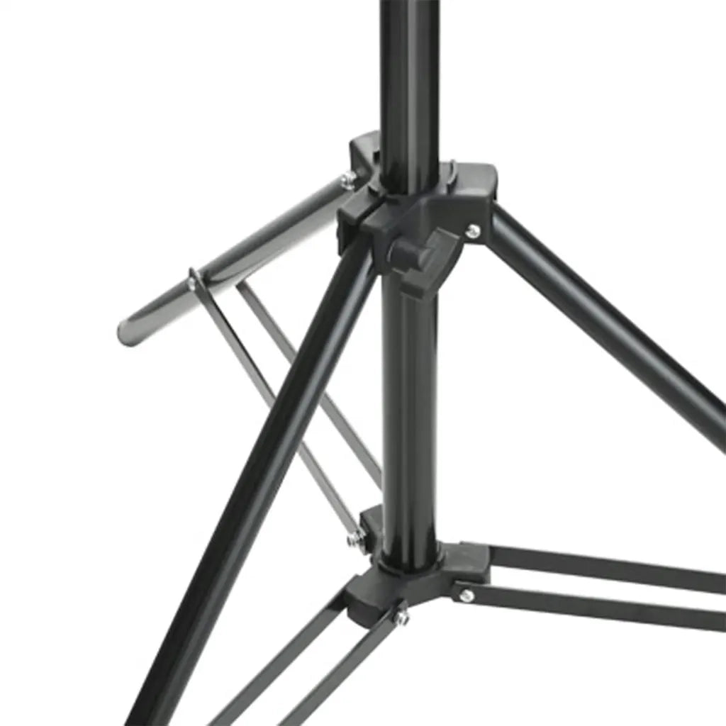 Kit per Studio Fotografico con Set Luci, Fondale e Riflettore 3094662