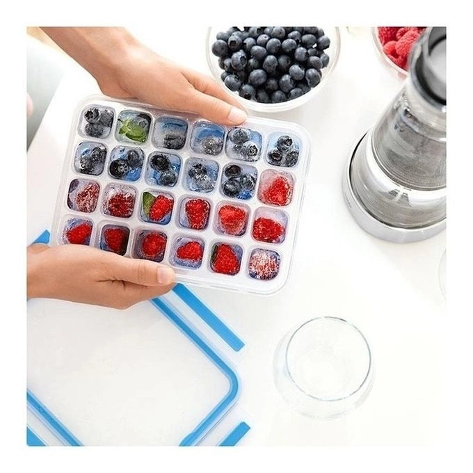 EMSA 514549 recipiente per cibo Vaschetta per ghiaccio Blu, Trasparente 1 pz