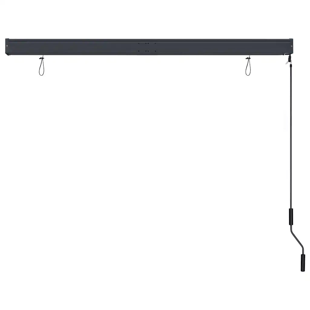 Tenda a rullo | Tenda avvolgibile per Esterni 160x250 cm Antracite