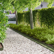 Bordura per Prato 30 pz 100 x 10 x 8 cm Acciaio Verde Oliva 8008879