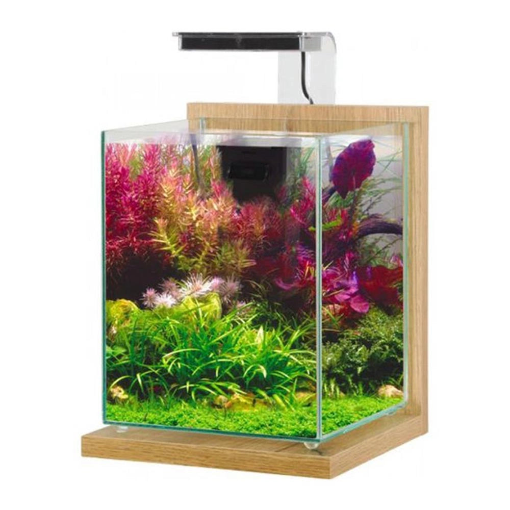 Zolux Jalaya 2 10L - acquario cm22,4x23,3x28,5h completo di filtro interno e plafoniera LED Colore: Quercia Chiaro