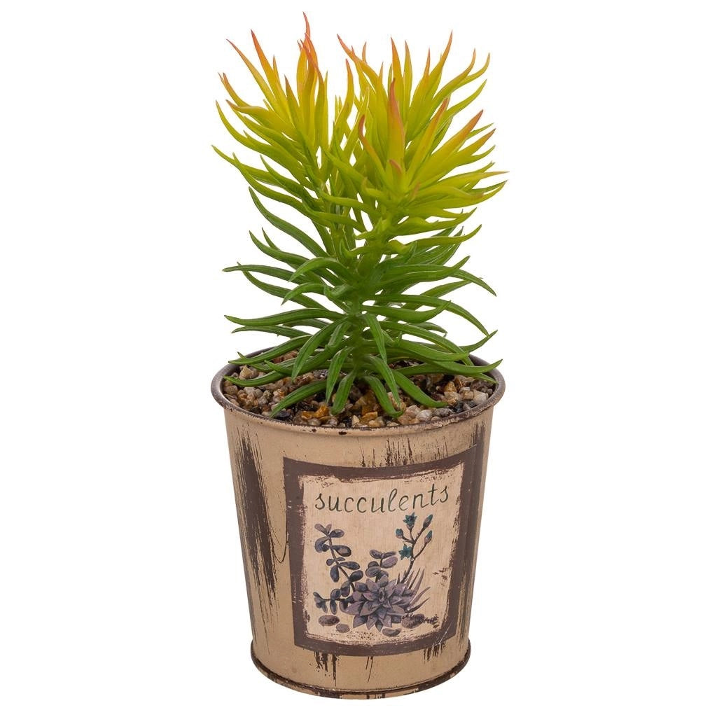 Vaso con cactus artificiale 10x10x22h