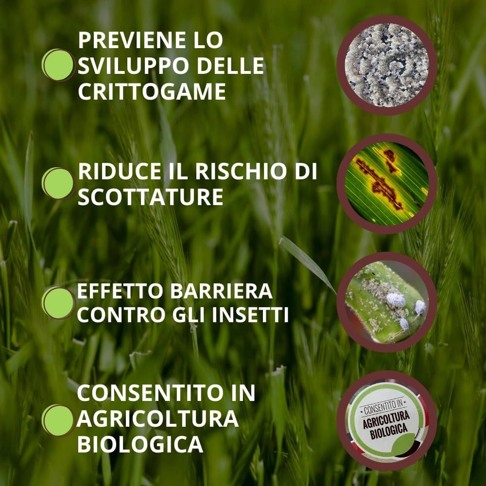VITHAL INTEGRATORE DI ZEOLITE PER PIANTE kg. 1
