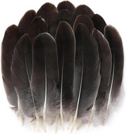 Piume naturali grigie per artigianato - 100 pezzi 12-15 cm - Accessori per maschere da cosplay, cinture per cappelli, ali per costume - Decorazioni per festa di Halloween