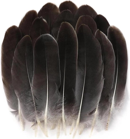 Piume naturali grigie per artigianato - 100 pezzi 12-15 cm - Accessori per maschere da cosplay, cinture per cappelli, ali per costume - Decorazioni per festa di Halloween