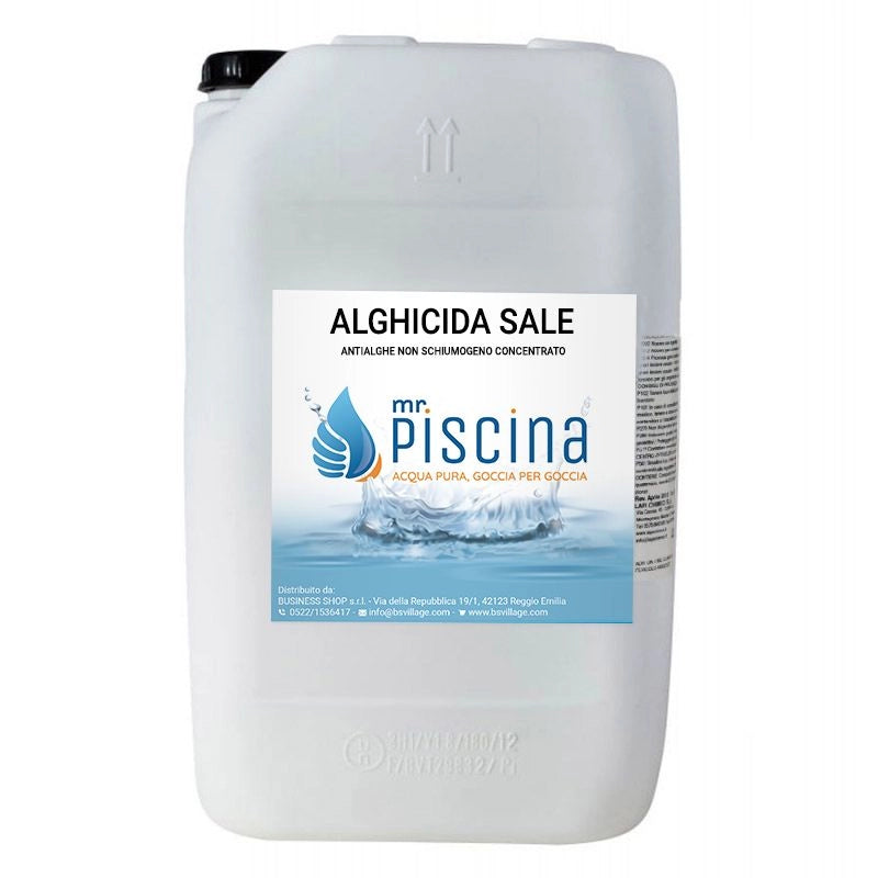 Antialghe piscina ALGHICIDA SALE - Concentrato non schiumogeno Quantità confezione: 1 pezzo