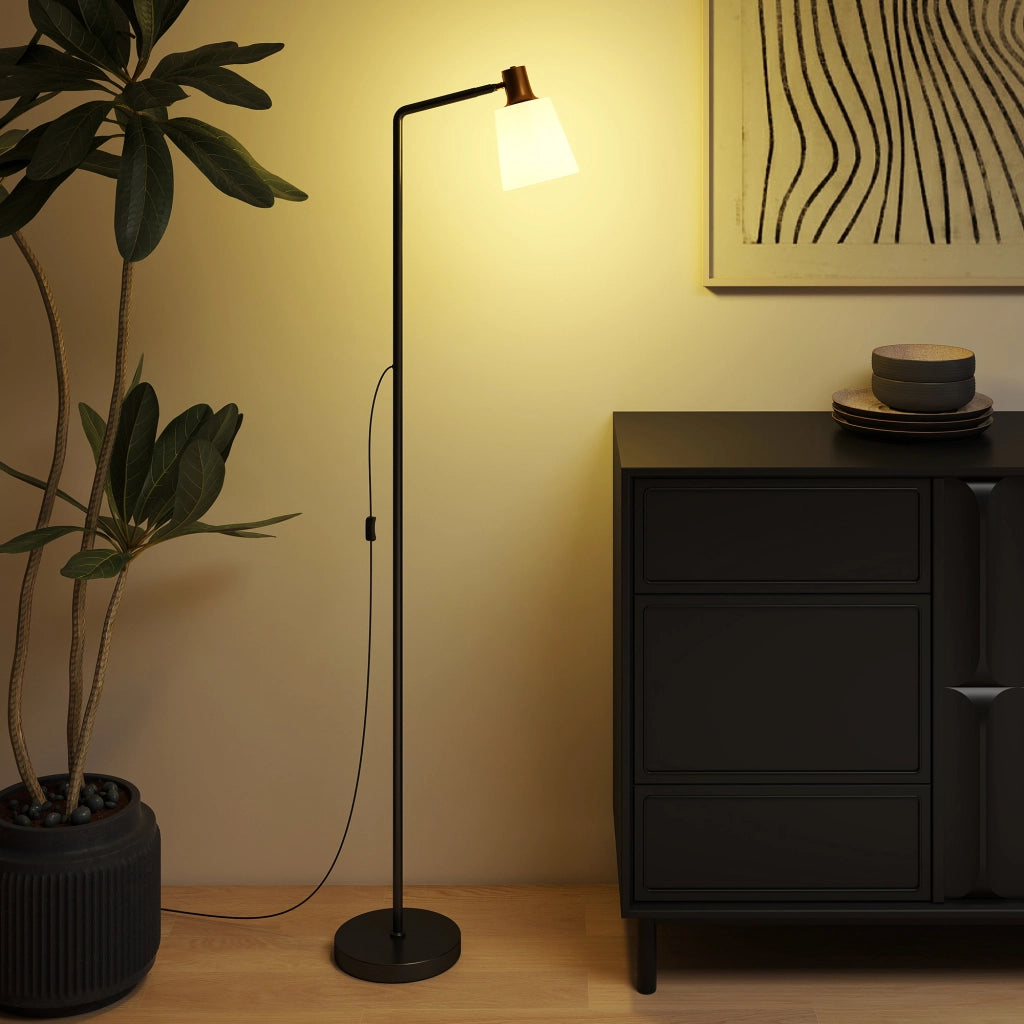 Lampada da Terra LED Regolabile ¨C Xylo ¨C Testa Girevole 350¡ã, 3 Temperature Colore, Nero