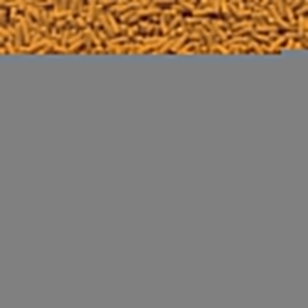 Tetra Pond Koi Sticks 1 litro