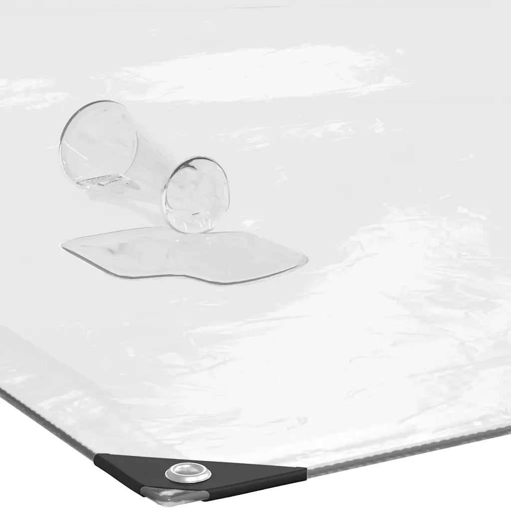 Telone Trasparente con Occhielli 3x5 m in Polietilene 4018513
