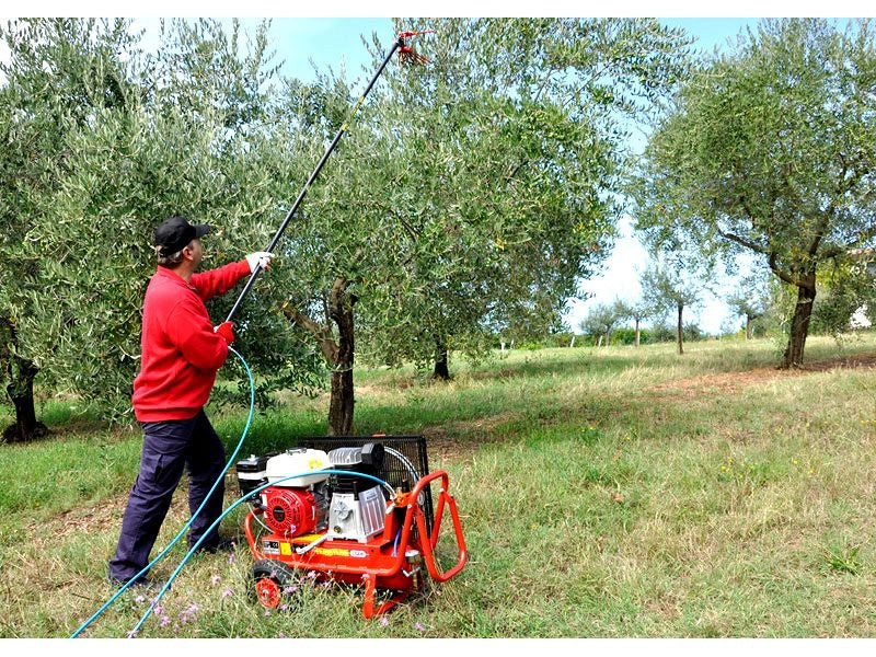 Motocompressore Lisam LM 600/30 con motore a scoppio Honda da 6,5 Hp 600 lt/min