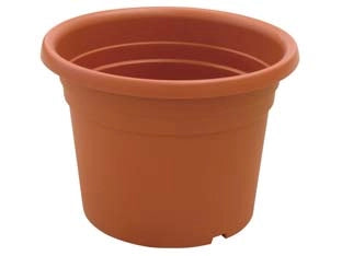 VASO CILINDRO DAHLIA- - ø cm.17x13h. - 12 pezzi ICS