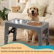Stazione alimentare per cani / Stazione alimentare per animali / Ciotola alimentare per animali domestici, alta