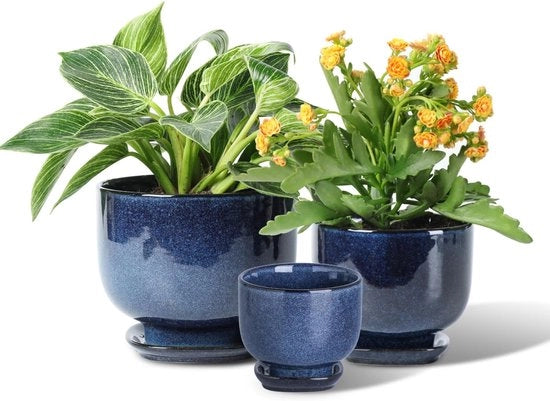 Pannelli Ceramici per Piante - Set di 3 Piani da 6.8/5.5/4.3 Pollici con Foro di Scarico e Piatto per Succulente, Orchidea, Fiori, Erbe, Cactus - Decorazione per Giardino, Casa, Ufficio, Scrivania