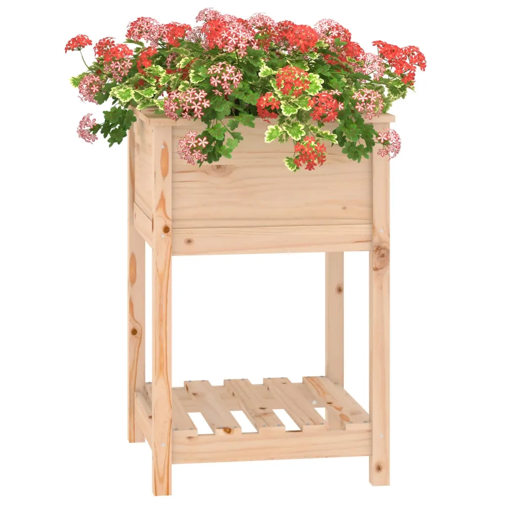 Fioriera con Mensola 54x54x81 cm in Legno Massello di Pino 823773