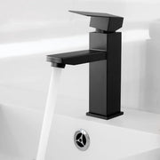 Fonteinkraan in Acciaio Inossidabile Nero Quadrata a 4 Vie - 2 Sfinter - Adatta per Giardino Cucina e Bagno