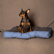 Materasso per cane e gatto, morbido, ortopedico(Extralarge) | Buggy