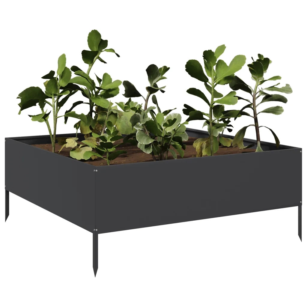 Fioriera | Cassetta per fiori | Vaso Rialzata da Giardino Nera 100x100x41 cm in Acciaio
