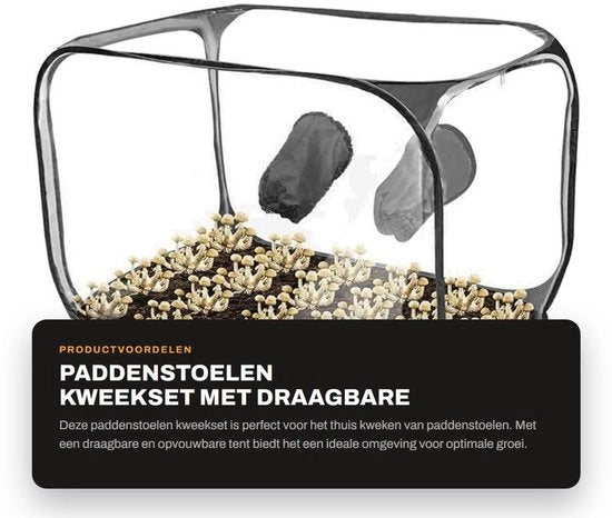 Kit di coltivazione funghi con tenda portatile e ripiegabile