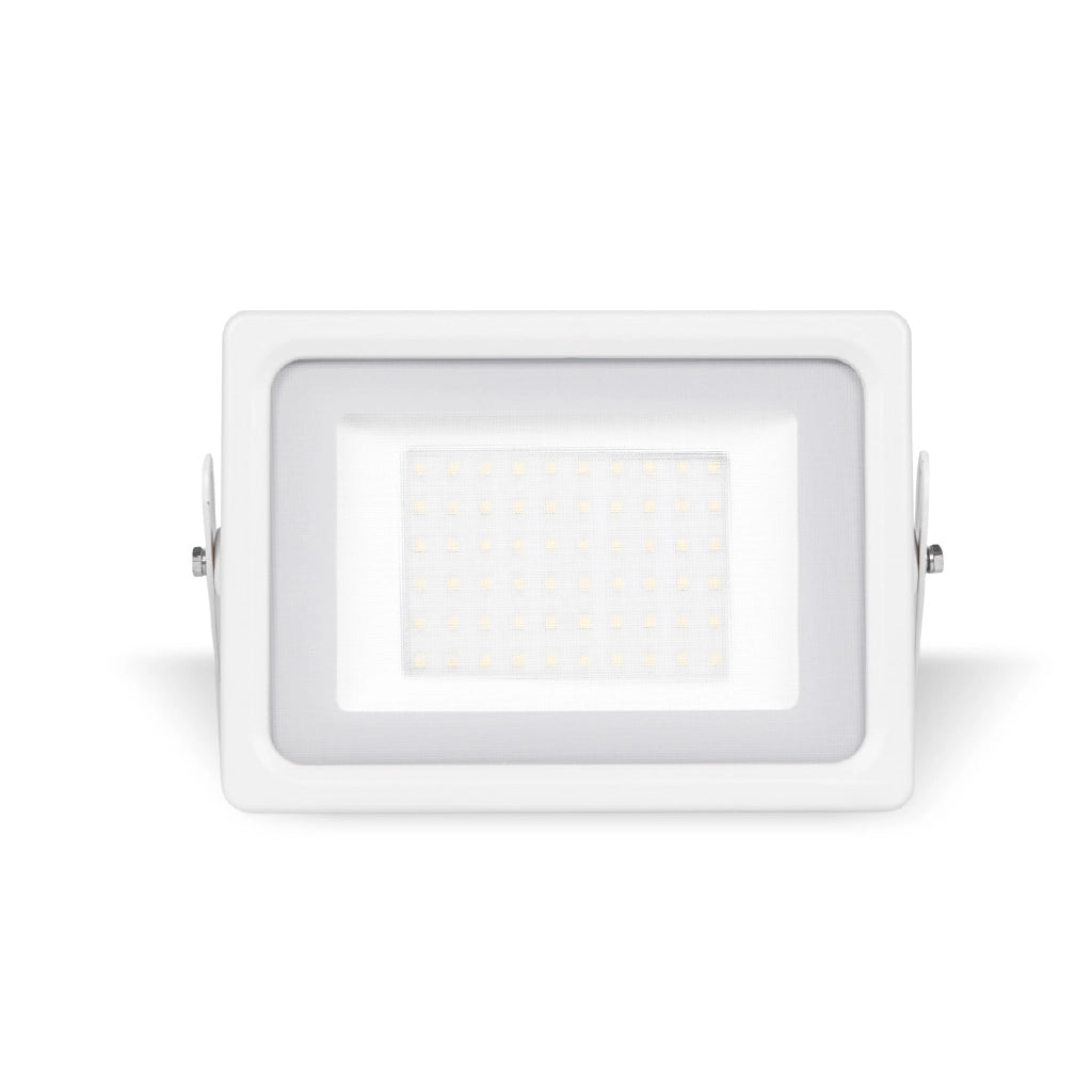 Faro led 100w bianco luce fredda 6000K