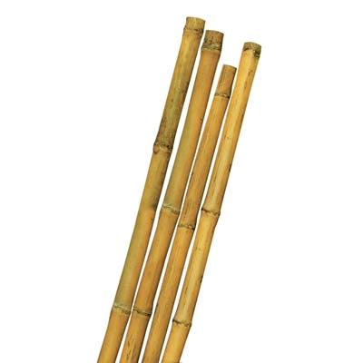 TUTORE CANNA BAMBOO - MM MAX 28 H.CM 240- 50 pezzi
