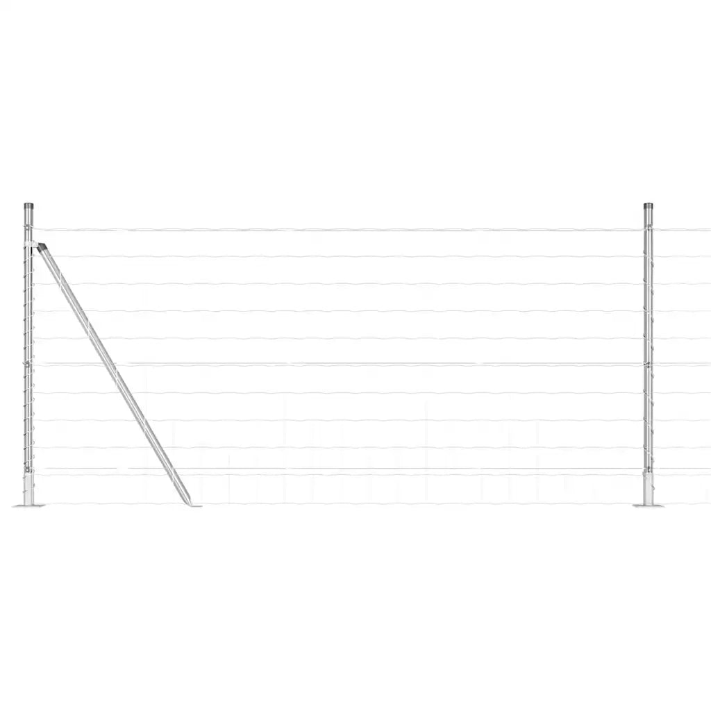 Recinzione da Giardino | Recinzione con Posto Argento 1 x 25 m Acciaio