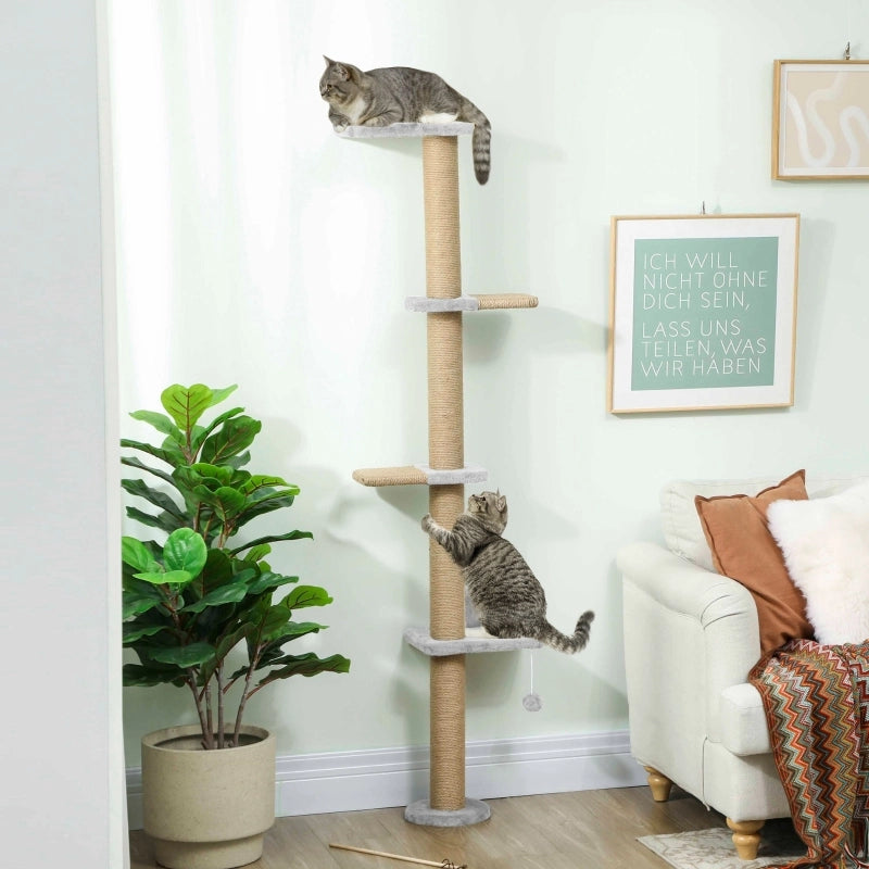 Tiragraffi per gatti, design a 5 livelli, giocattolo, pali in sisal, tessuto felpato, grigio chiaro
