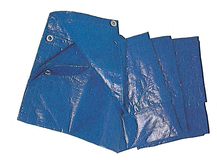 C TELO OCCHIELLATO PE 6 X 8M 85GR BLU- 1,0 pz