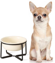 Ciotola per cani alta con supporto antiscivolo - 400 ml - beige