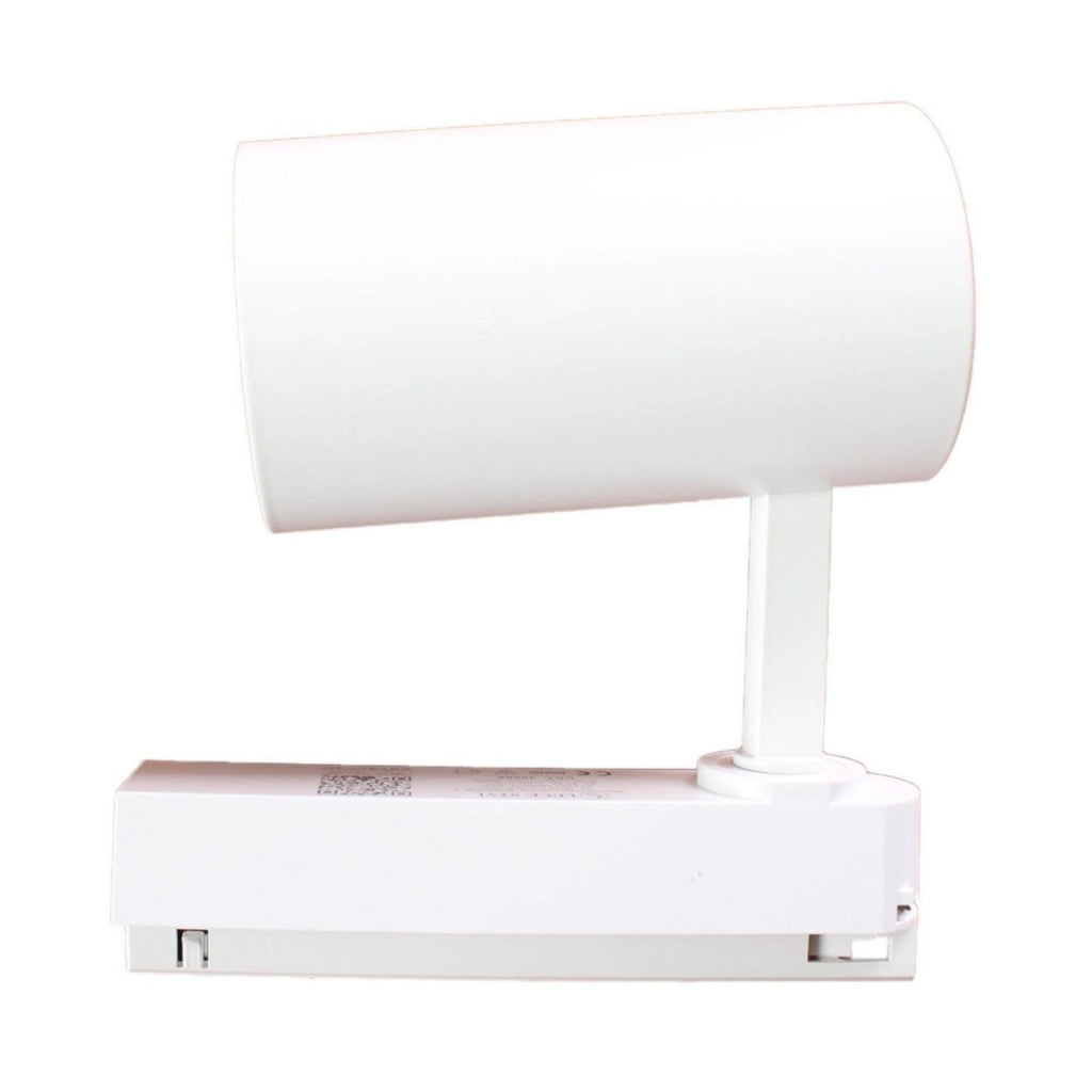 2 Pezzi Faro Bianco Mono Fase 30W 3000K