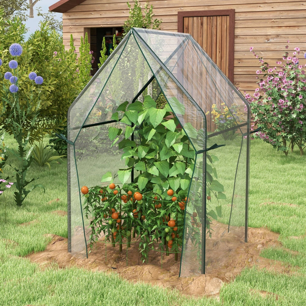 Serra da giardino ¨C Minimal ¨C 90x90x145 cm trasparente e nero