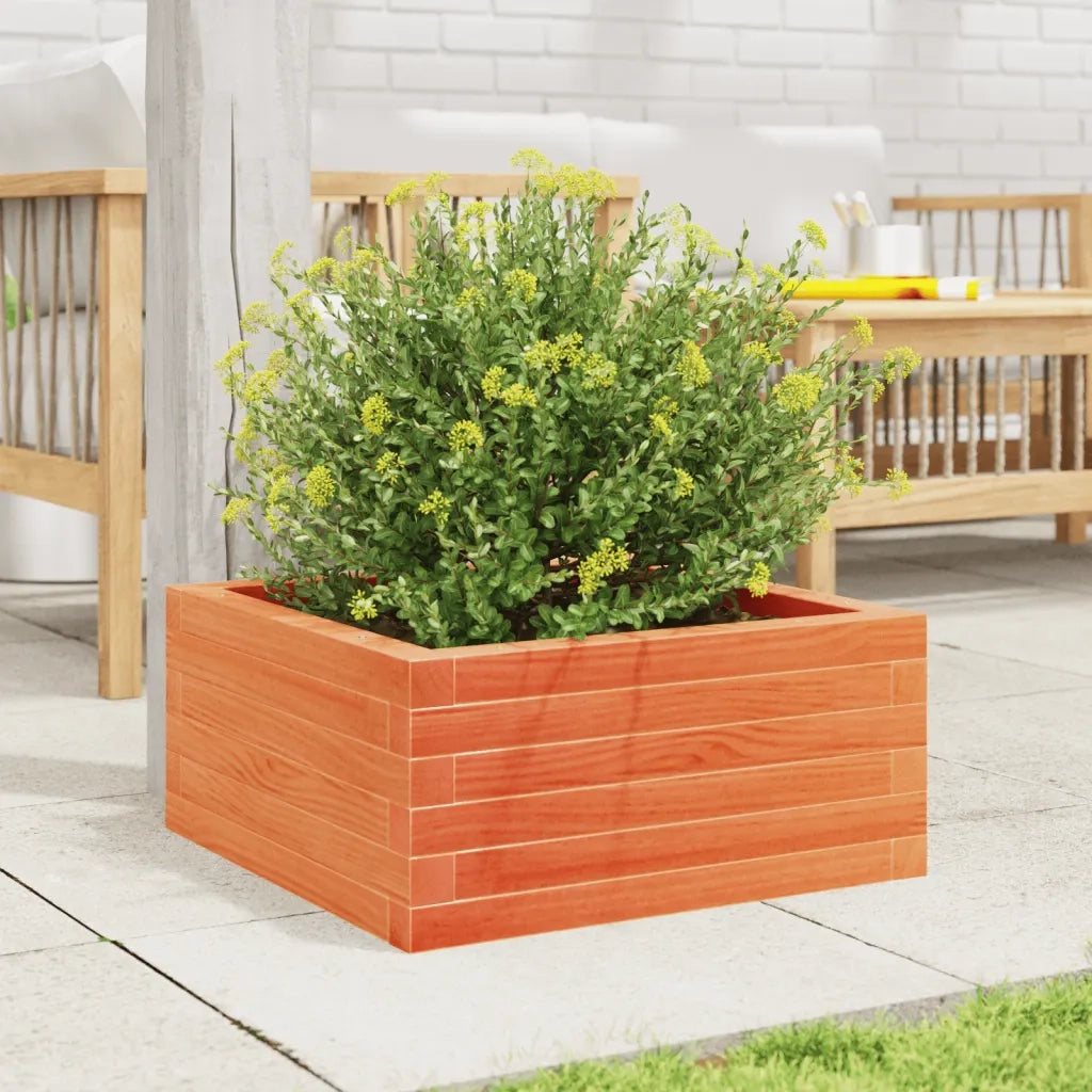 Fioriera | Cassetta per fiori | Vaso Giardino Marrone Cera 50x50x23 cm Legno Massello Pino
