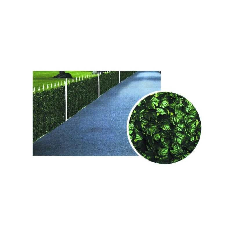 Siepe Edera h 100 m 20 Ilcampo 06231